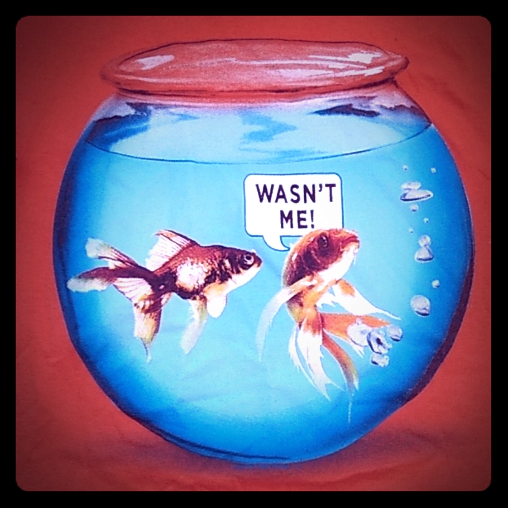 😺 Free with Bundle, Boy's graphic tee.